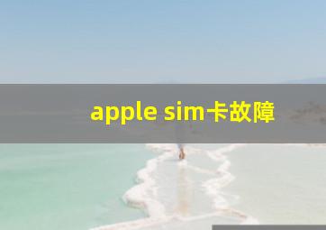 apple sim卡故障